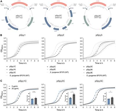 Expanding the genetic toolbox for the obligate human pathogen Streptococcus pyogenes